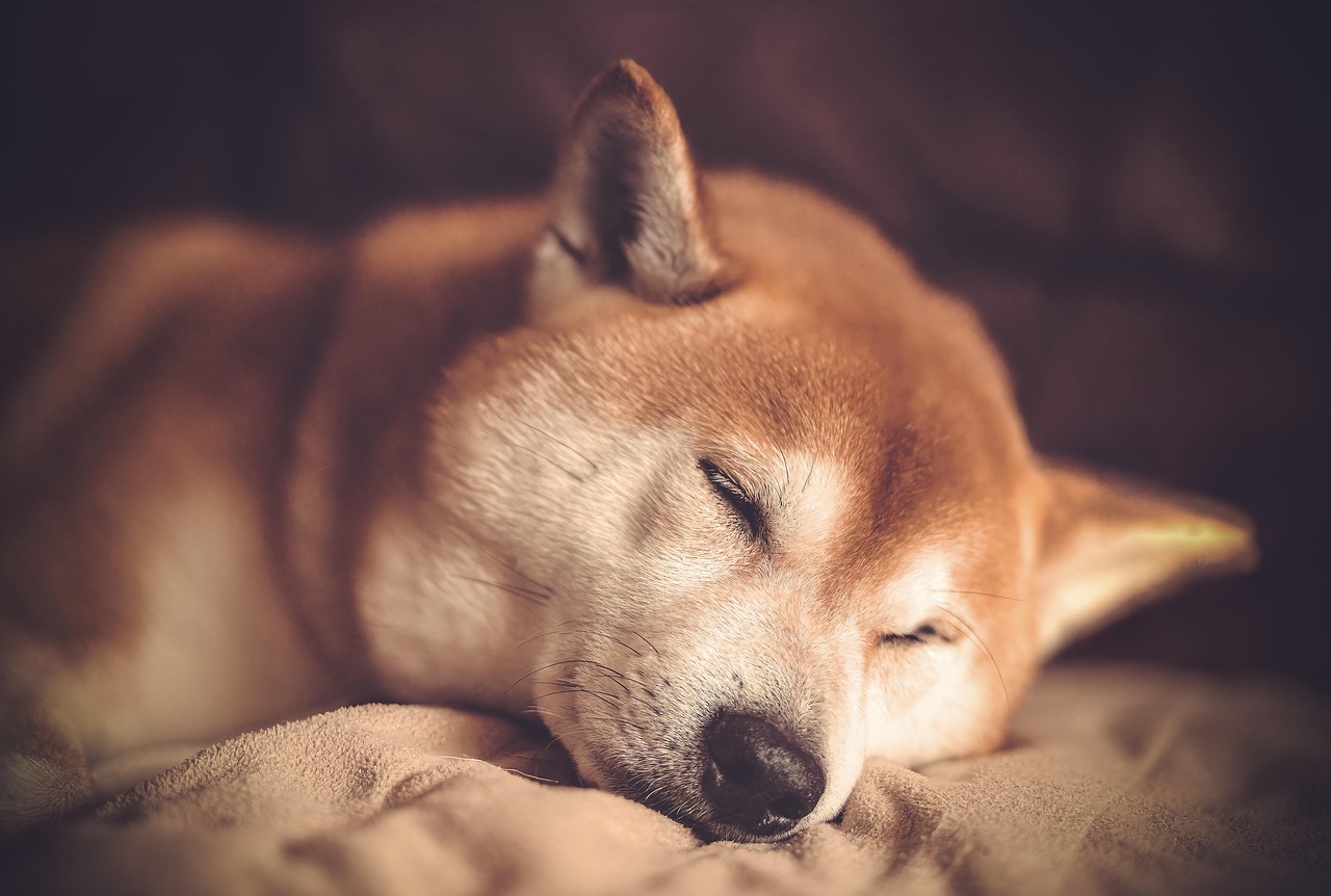 2. 睡眠の質と身体の関係