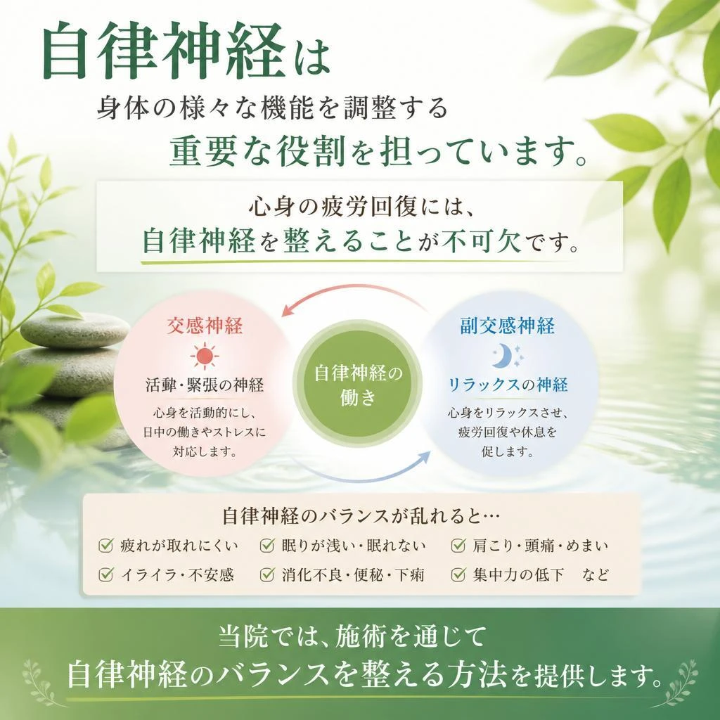 自律神経と疲労回復の関係